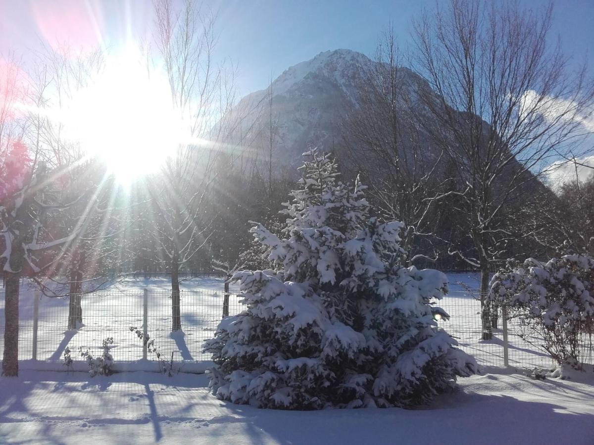 Chalet De L'Oisans Allemont Exteriör bild